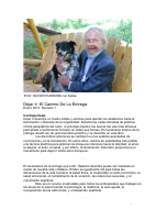 Dejar Ir ( PDFDrive ).pdf